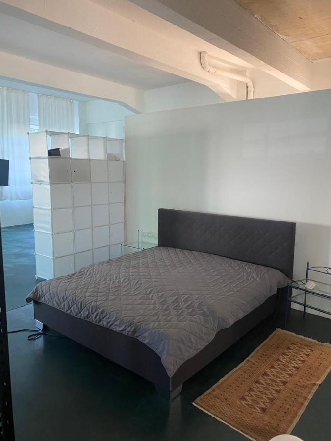 Апартаменты Big One Event Loft Gastro Kitchen, 200Qm, Up To 8 Beds Дрезден Экстерьер фото