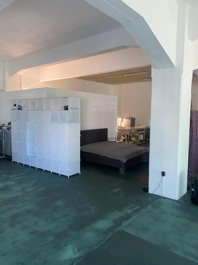 Апартаменты Big One Event Loft Gastro Kitchen, 200Qm, Up To 8 Beds Дрезден Экстерьер фото